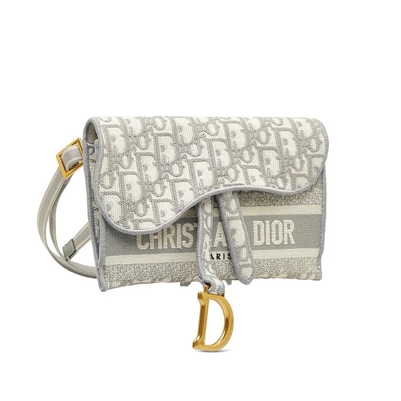 Iconic Dior: Bags that Define LuxuryDior Mini Saddle Bag Logo Jaguar D Gold  West Bag Body Bag Gray White Linen  Dior